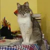 Отзыв от Тамара Корнева